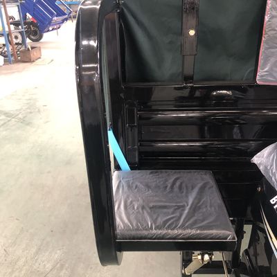 Motorfiets 43 de Driewieler van de Schok1000kg 200CC Lading